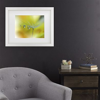 Trademark Fine Art Juliana Nan Sunbeam III Matted Framed Wall Art