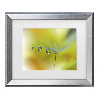 Trademark Fine Art Juliana Nan Sunbeam III Matted Framed Wall Art