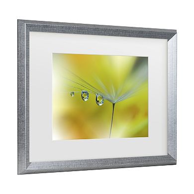 Trademark Fine Art Juliana Nan Sunbeam III Matted Framed Wall Art