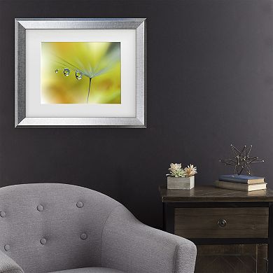 Trademark Fine Art Juliana Nan Sunbeam III Matted Framed Wall Art