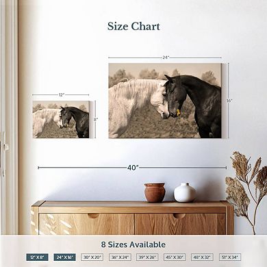 Sweet Black And White Horses Canvas Print
