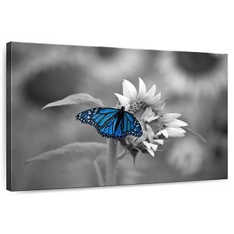 Butterfly Pop Canvas Print