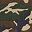 Green Camo