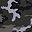 Grey Camo