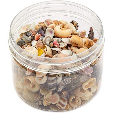 700 Pcs Tiny Craft Spiral Seashell For Diy Art Home Sea Shells Decoration 0.4-1"