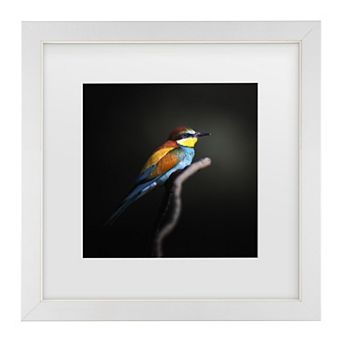 Trademark Fine Colorful Darkly Matted Framed Wall Art