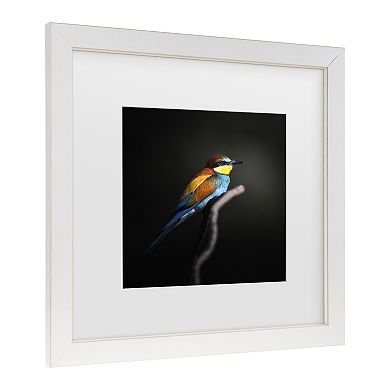 Trademark Fine Colorful Darkly Matted Framed Wall Art