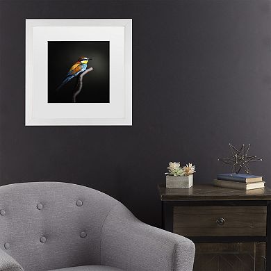 Trademark Fine Colorful Darkly Matted Framed Wall Art