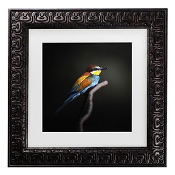 Trademark Fine Colorful Darkly Matted Framed Wall Art