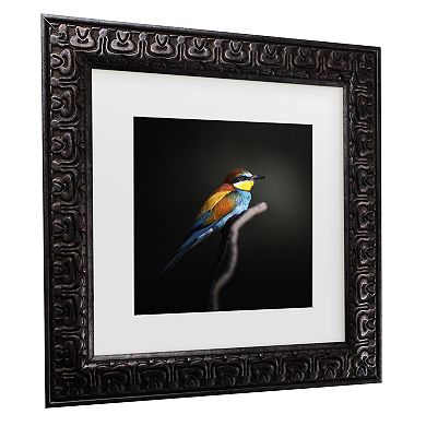 Trademark Fine Colorful Darkly Matted Framed Wall Art
