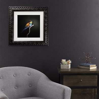 Trademark Fine Colorful Darkly Matted Framed Wall Art