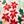 Holiday Floral