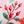 Poinsettia Bows