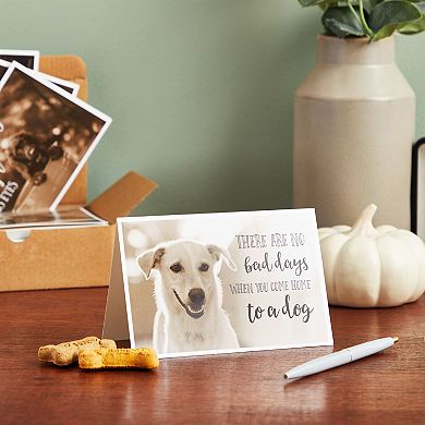 36 Pack Blank Motivational Dog Greeting Cards With Inspirational Quotes, 4x6 In