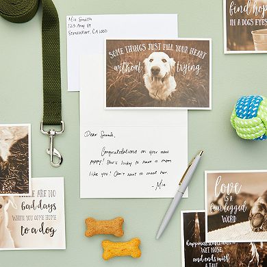 36 Pack Blank Motivational Dog Greeting Cards With Inspirational Quotes, 4x6 In
