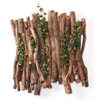 Wall Hanging Dragonwood And Ficus Benjamina