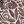 Neutral Cutout Floral
