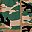 Classic Camo