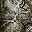 Woods Camo