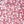 White Flowers Pink