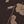 Velvet Brown
