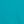 Dusty Cactus