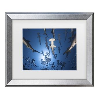Trademark Fine Art Hammerhead Shark Matted Framed Wall Art