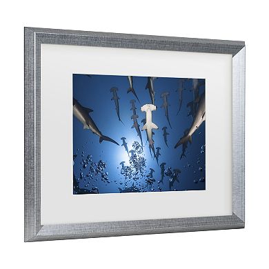 Trademark Fine Art Hammerhead Shark Matted Framed Wall Art