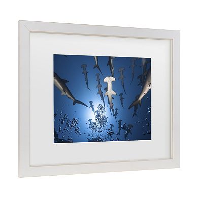 Trademark Fine Art Hammerhead Shark Matted Framed Wall Art