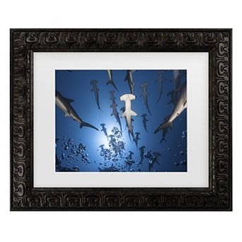 Trademark Fine Art Hammerhead Shark Matted Framed Wall Art