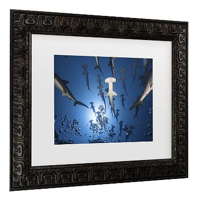 Trademark Fine Art Hammerhead Shark Matted Framed Wall Art