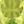 August Gen Peridot