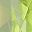 August Gen Peridot