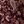 Wine Tilda Paisley