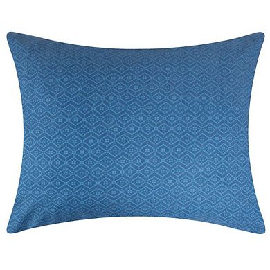 Painted Desert Embellished With Thunderbird Motifs And Geometric Chevron Sham