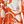Orange Bold Floral