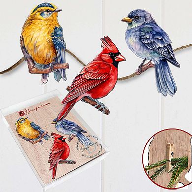 Winter Birds Wooden Clip-on Ornaments Set Of 3 By G. Debrekht