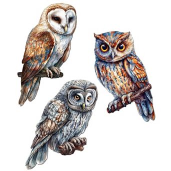 Night Owls Wooden Clip-on Ornaments Set Of 3 By G. Debrekht