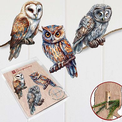 Night Owls Wooden Clip-on Ornaments Set Of 3 By G. Debrekht