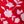 Red Francie Floral