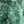 Digital Marble Green