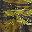 Olive Camo