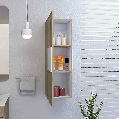 DEPOT E-SHOP Magna Medicine Single Door Cabinet, Three Shelves
