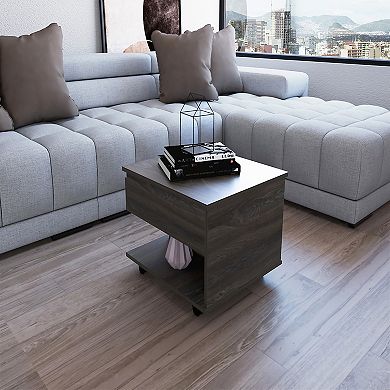 DEPOT E-SHOP Babel Lift Top Coffee Table, Casters, One Shelf