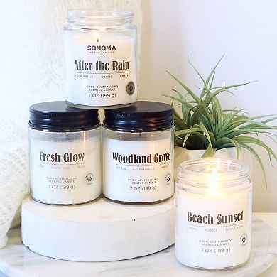 Sonoma Goods For Life® Fresh Glow Single Pour 7-oz. Candle Jar