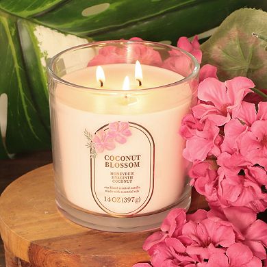 Sonoma Goods For Life® Coconut Blossom 14-oz. Large Candle Jar