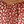 Light Red Leopard