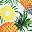Pineapple Print