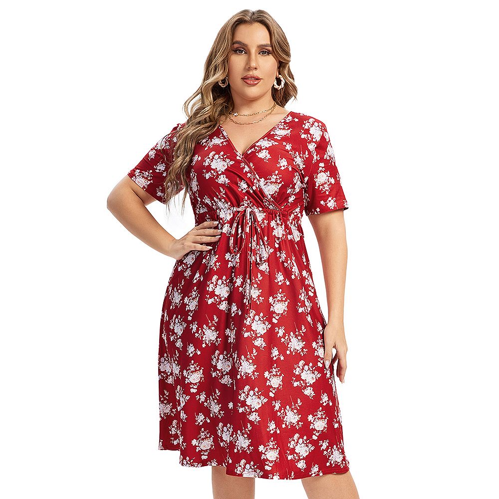Women's Plus Size Floral V-neck Dress Knee Length Mini Dresses