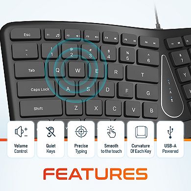 Delton Kb250 Ergonomic Keyboard With Wrist Rest Pad (DKBE250-U)